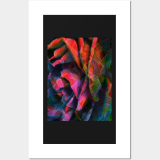 Fractal Rose Posters and Art